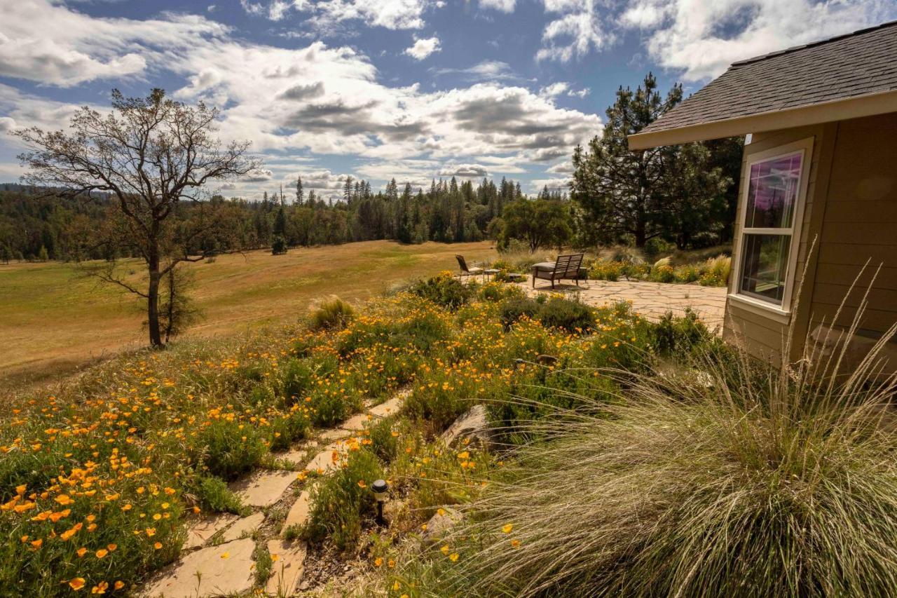 Red Tail Ranch Bed and Breakfast Groveland Exteriör bild