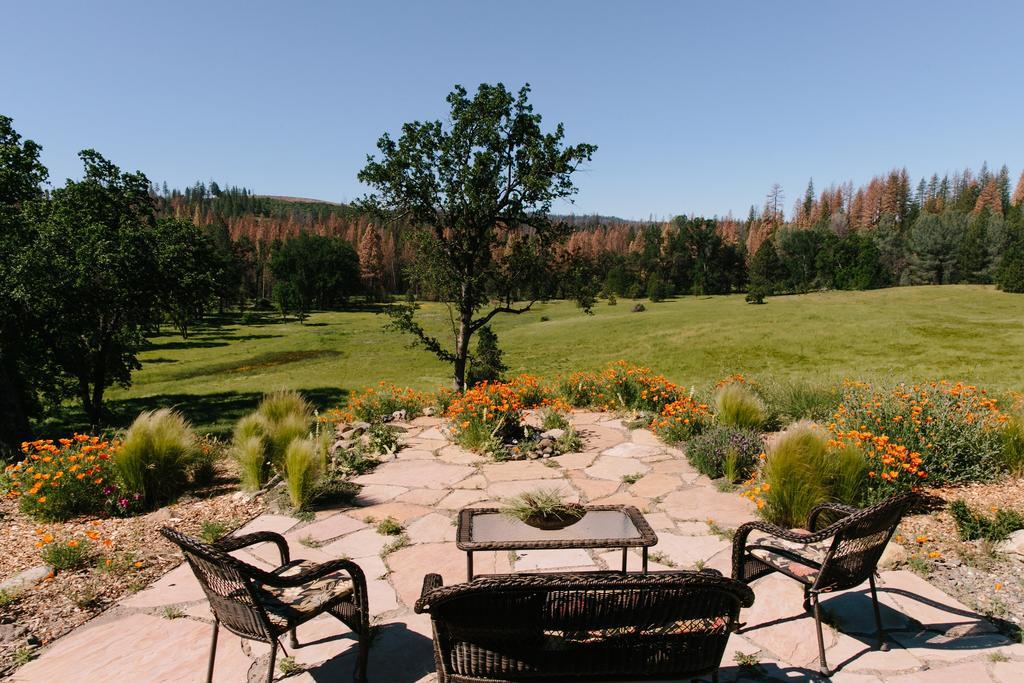 Red Tail Ranch Bed and Breakfast Groveland Exteriör bild