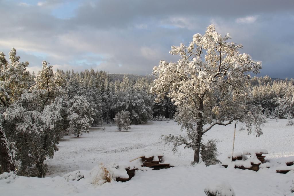 Red Tail Ranch Bed and Breakfast Groveland Exteriör bild
